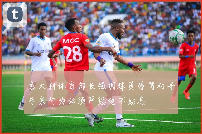 意大利体育部长强调球员辱骂对手母亲行为必须严惩绝不姑息