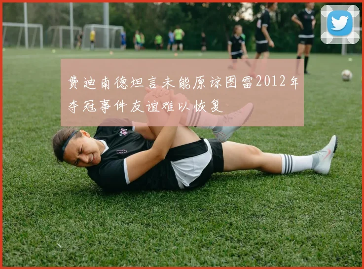 费迪南德坦言未能原谅图雷2012年夺冠事件友谊难以恢复