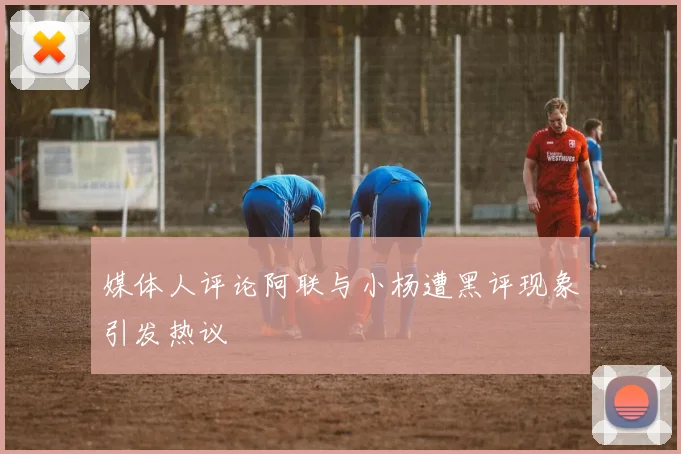 媒体人评论阿联与小杨遭黑评现象引发热议