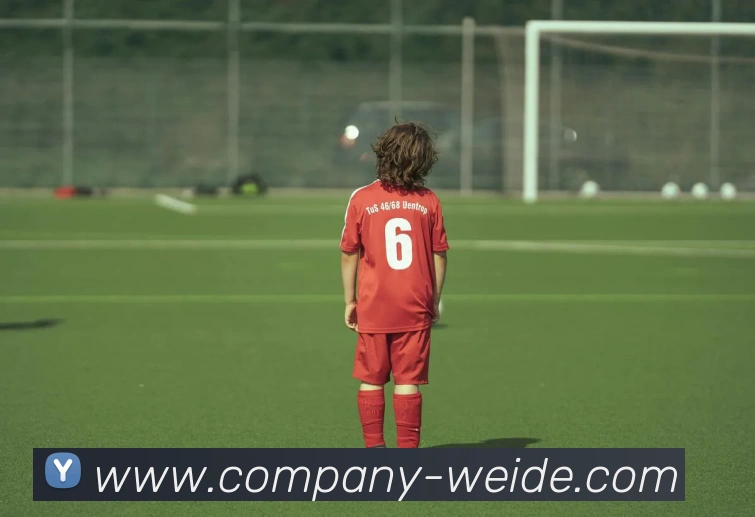 伟德体育发展历程